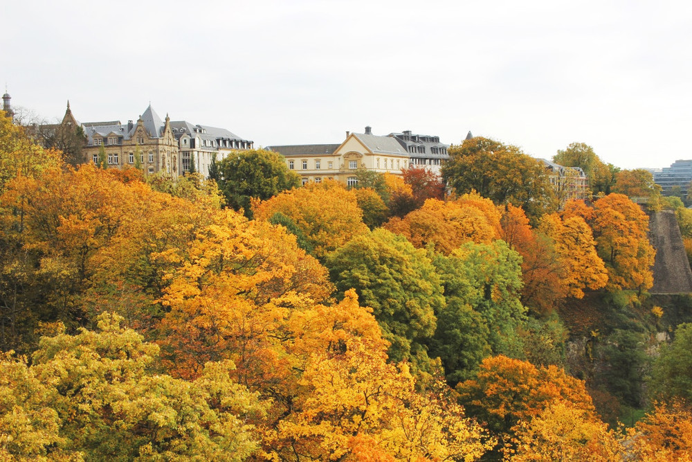 2d9ad-thumb_img_8518_1024