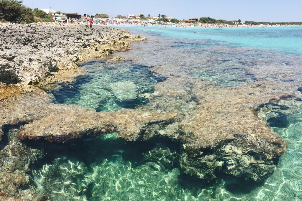 Processed with VSCO with a6 preset